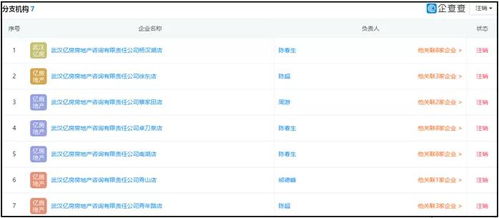 湖北消金合作方為客戶擔(dān)保引發(fā)關(guān)注，法院判決書揭示最高收取2%服務(wù)費(fèi)