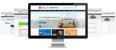 武漢大學卓玉教育培訓中心 打造企業(yè)門戶網站的必要性與實踐